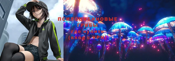 гашик Беломорск