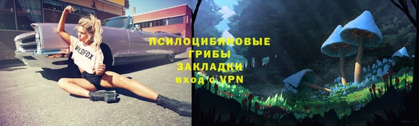 гашик Беломорск