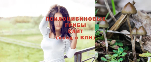 MDMA Белоозёрский