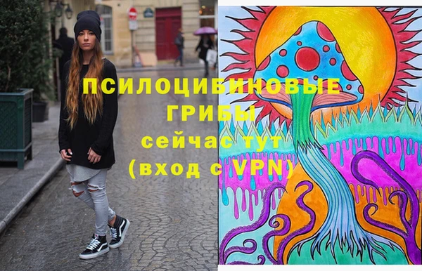 гашик Беломорск