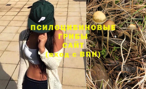 гашик Беломорск