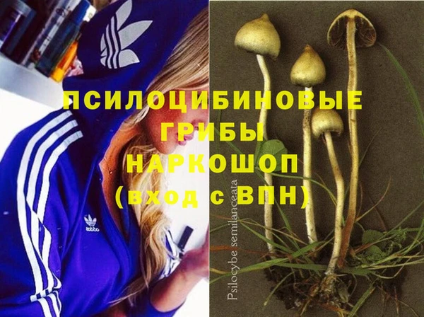 гашик Беломорск