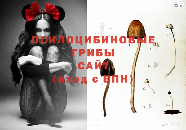 гашик Беломорск